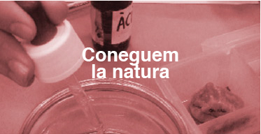 Coneguem la natura Coneguem la natura
